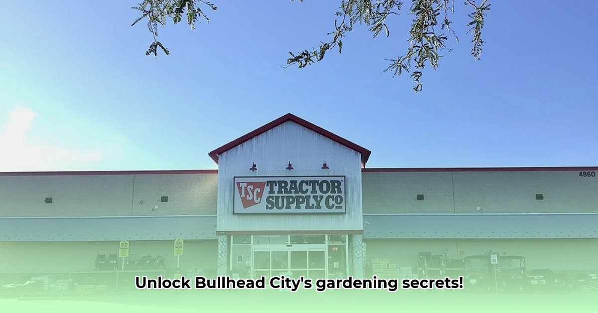 tractor-supply-bullhead-city